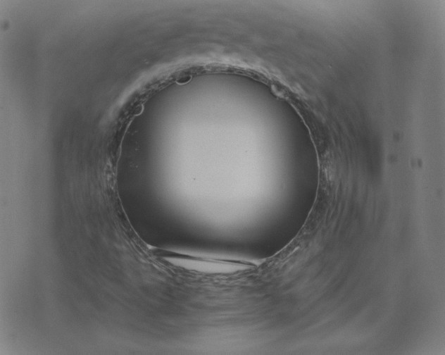 X0000076311495200610161605