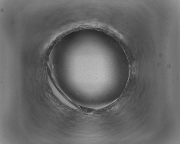 X0000076311496200610161605