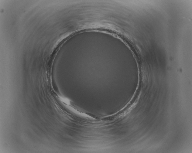 X0000076311497200610161605