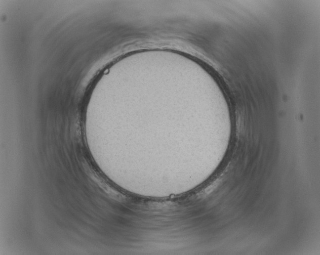 X0000076311498200610161605