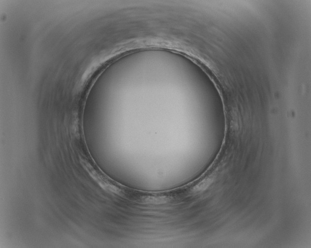 X0000076311499200610161605