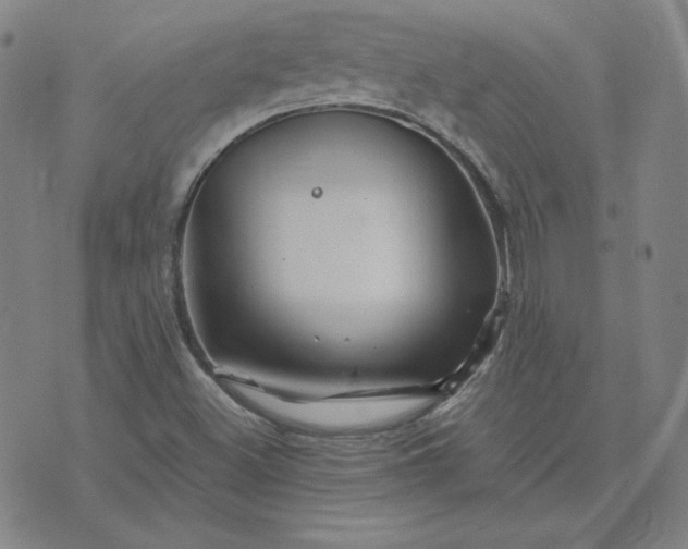 X0000076311500200610161605