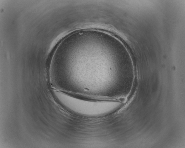 X0000076311501200610161605