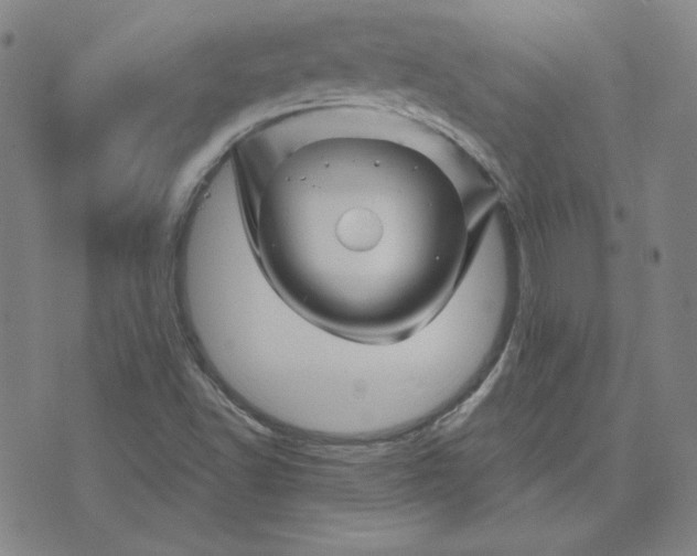 X0000076311502200610161605