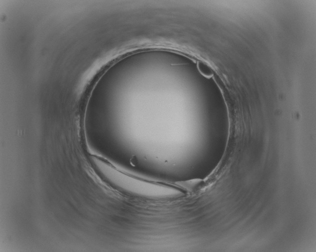 X0000076311503200610161605