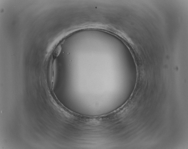 X0000076311504200610161605