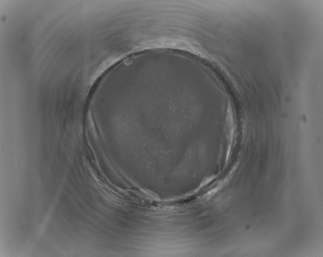 X0000076311505200610161605