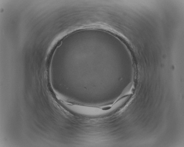 X0000076311506200610161605