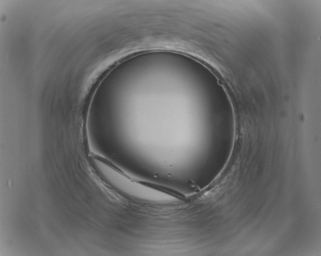 X0000076311507200610161605