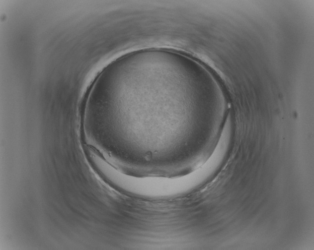 X0000076311508200610161605