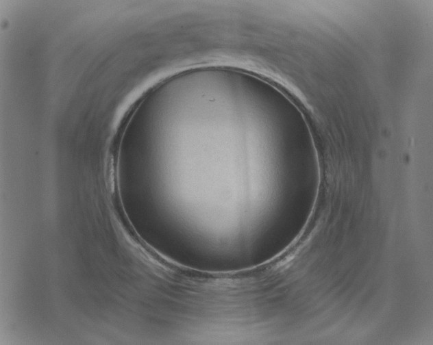 X0000076311510200610161605