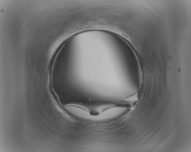 X0000076311511200610161606