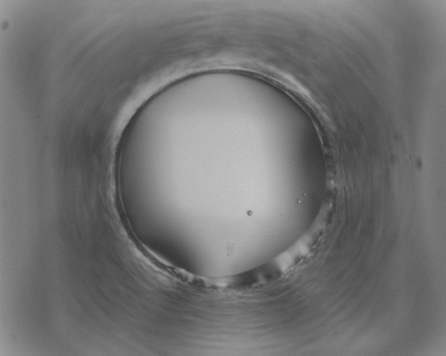 X0000076311512200610161606