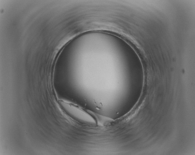 X0000076311513200610161606