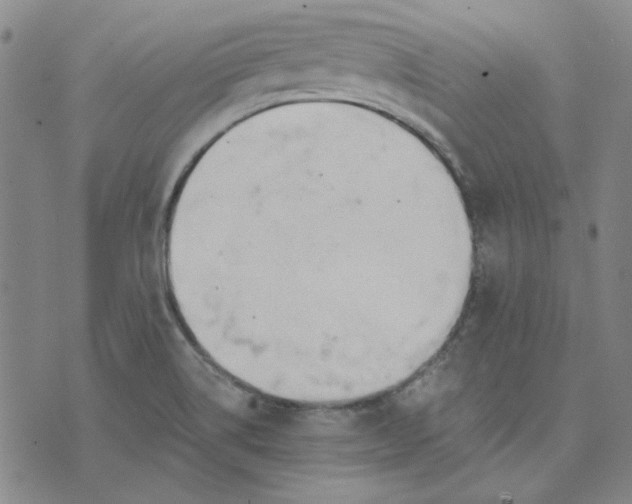 X0000076311514200610161606