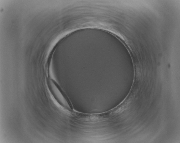 X0000076311515200610161606