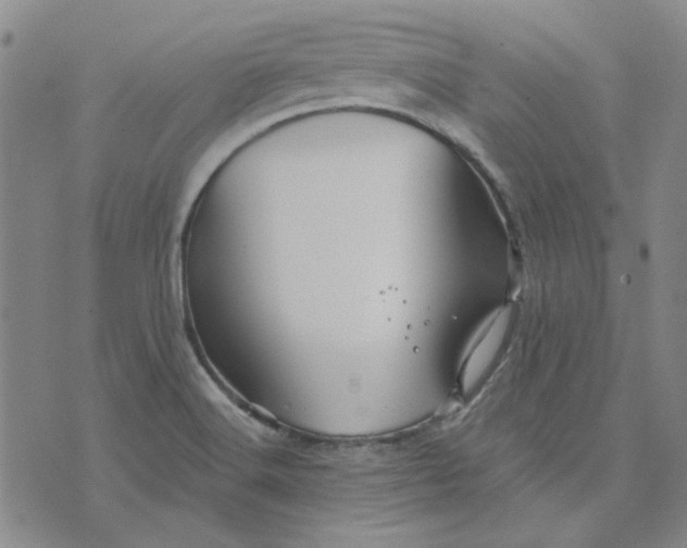 X0000076311516200610161606