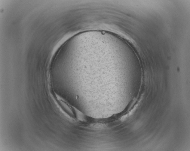 X0000076311517200610161606