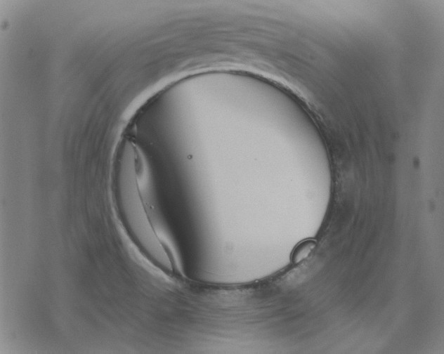 X0000076311518200610161606