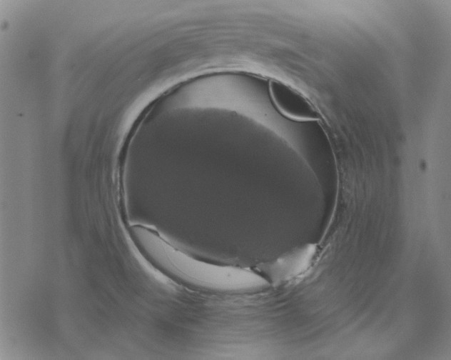 X0000076311519200610161606