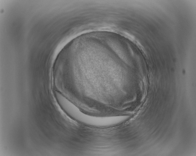 X0000076311520200610161606