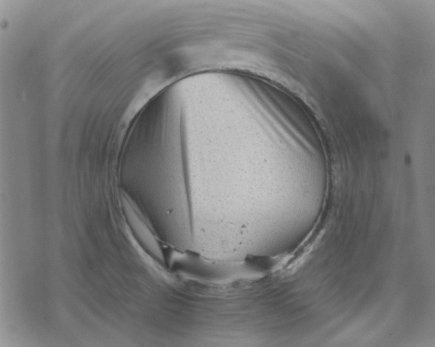 X0000076311521200610161606