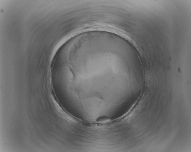 X0000076311522200610161606