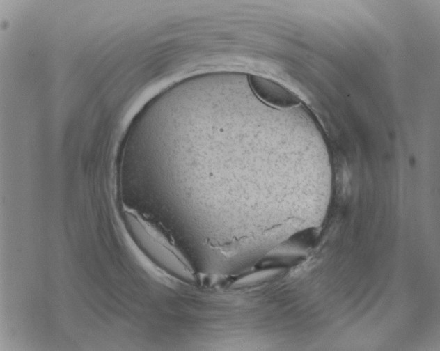 X0000076311523200610161606