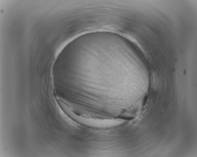 X0000076311524200610161606