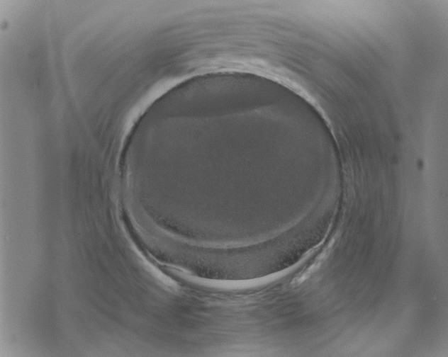 X0000076311525200610161606