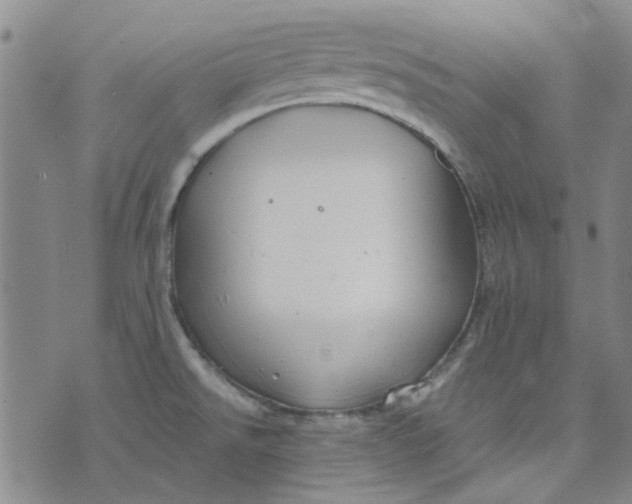 X0000076311526200610161606