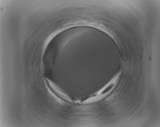 X0000076311527200610161606