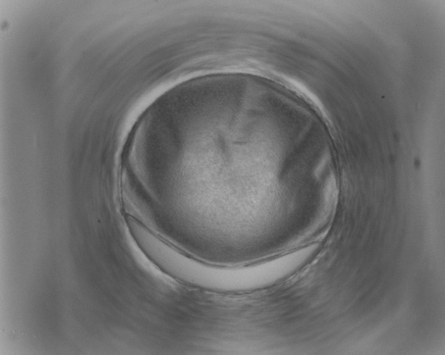 X0000076311528200610161606