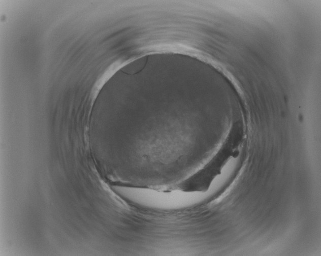 X0000076311529200610161606