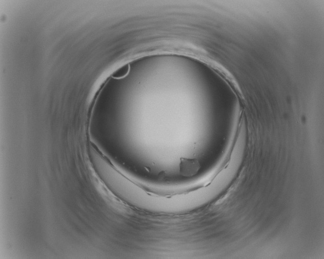 X0000076311530200610161606