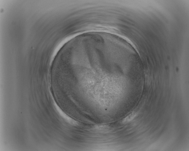 X0000076311531200610161606