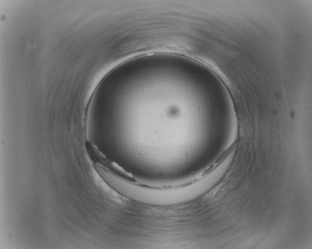 X0000076311532200610161606