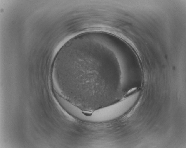 X0000076311533200610161606