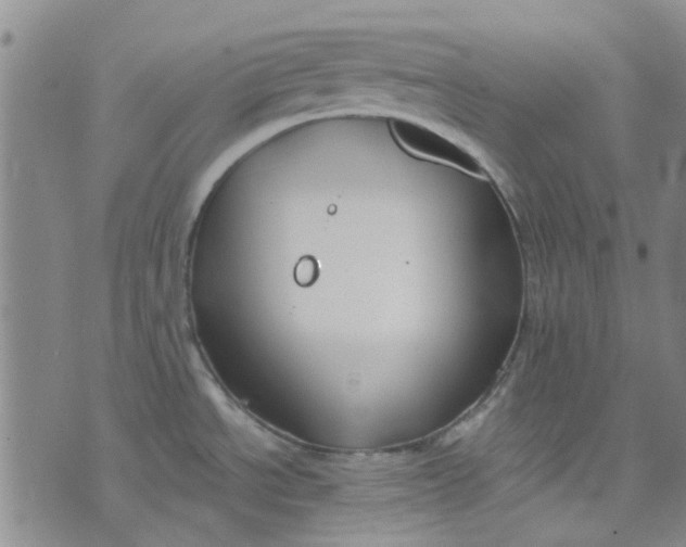 X0000076311534200610161606