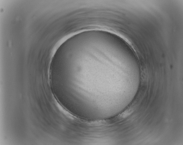 X0000076311535200610161606