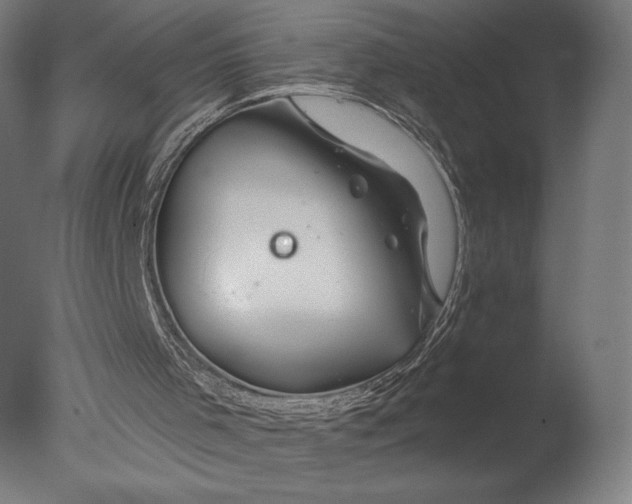 X0000076310001200610201625