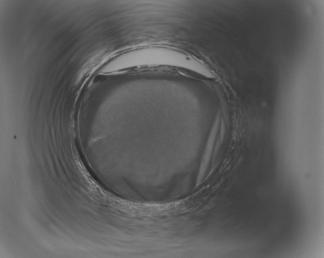 X0000076310002200610201625