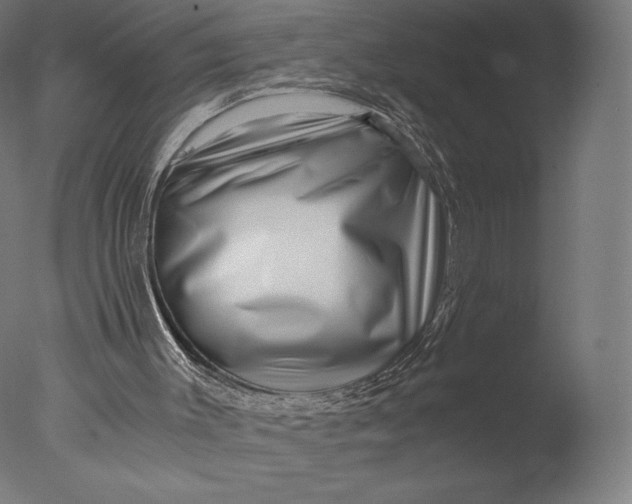 X0000076310003200610201625