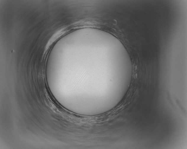 X0000076310004200610201625