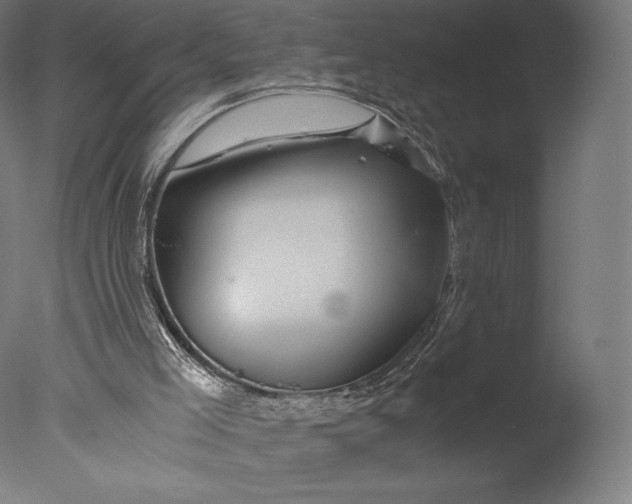 X0000076310005200610201625