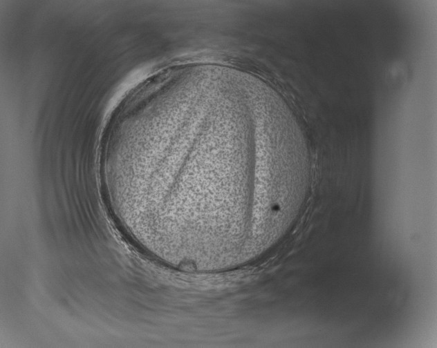 X0000076310006200610201625