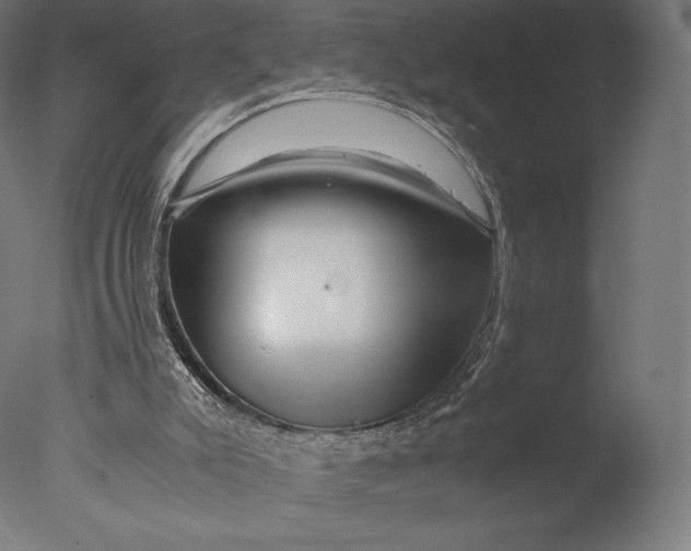 X0000076310007200610201625