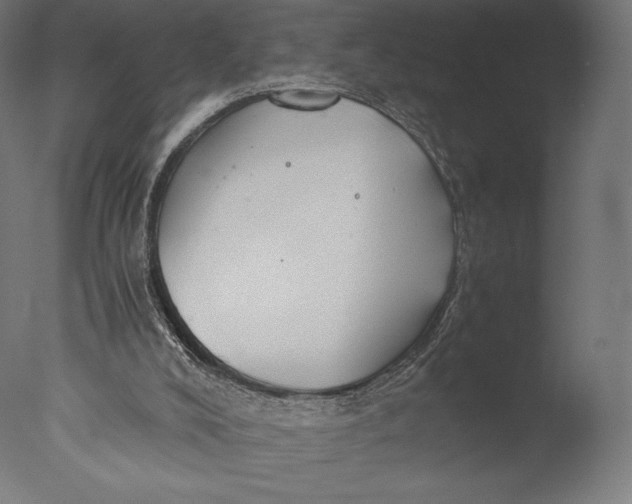 X0000076310008200610201625