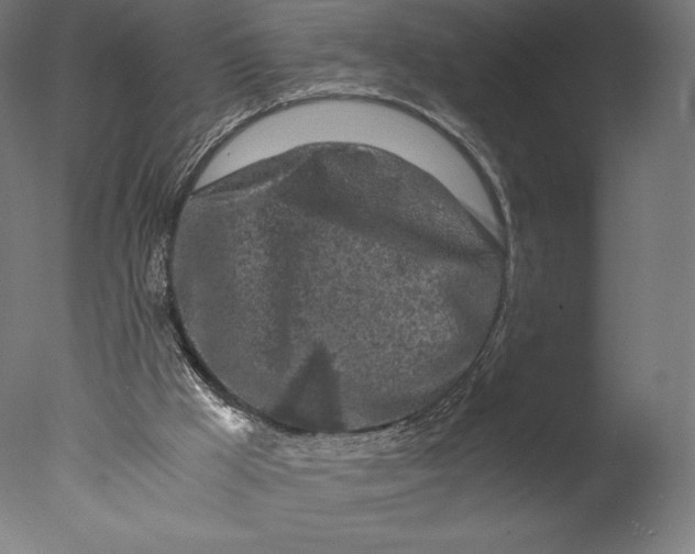 X0000076310009200610201625