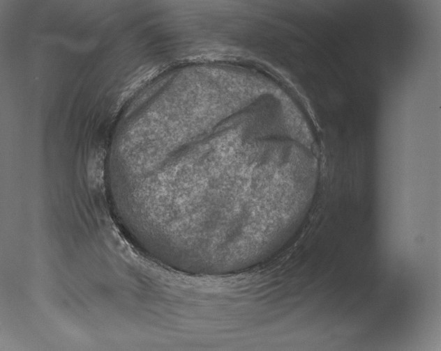 X0000076310010200610201625